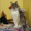 Отзыв от Маргарита Седова